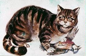 Wildkatze